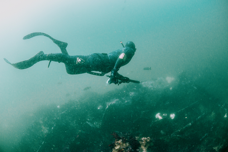 free diver