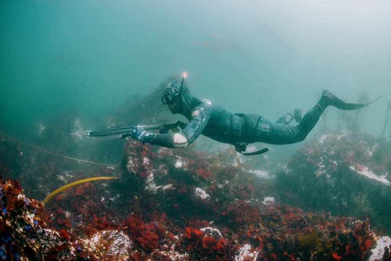 free diver