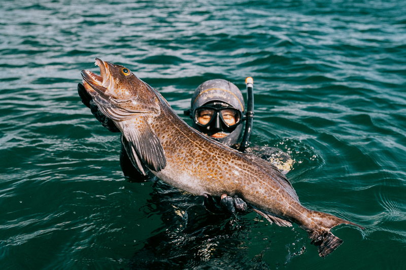 free diver with fish
