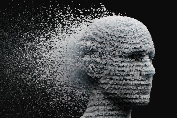 IA Head architecture