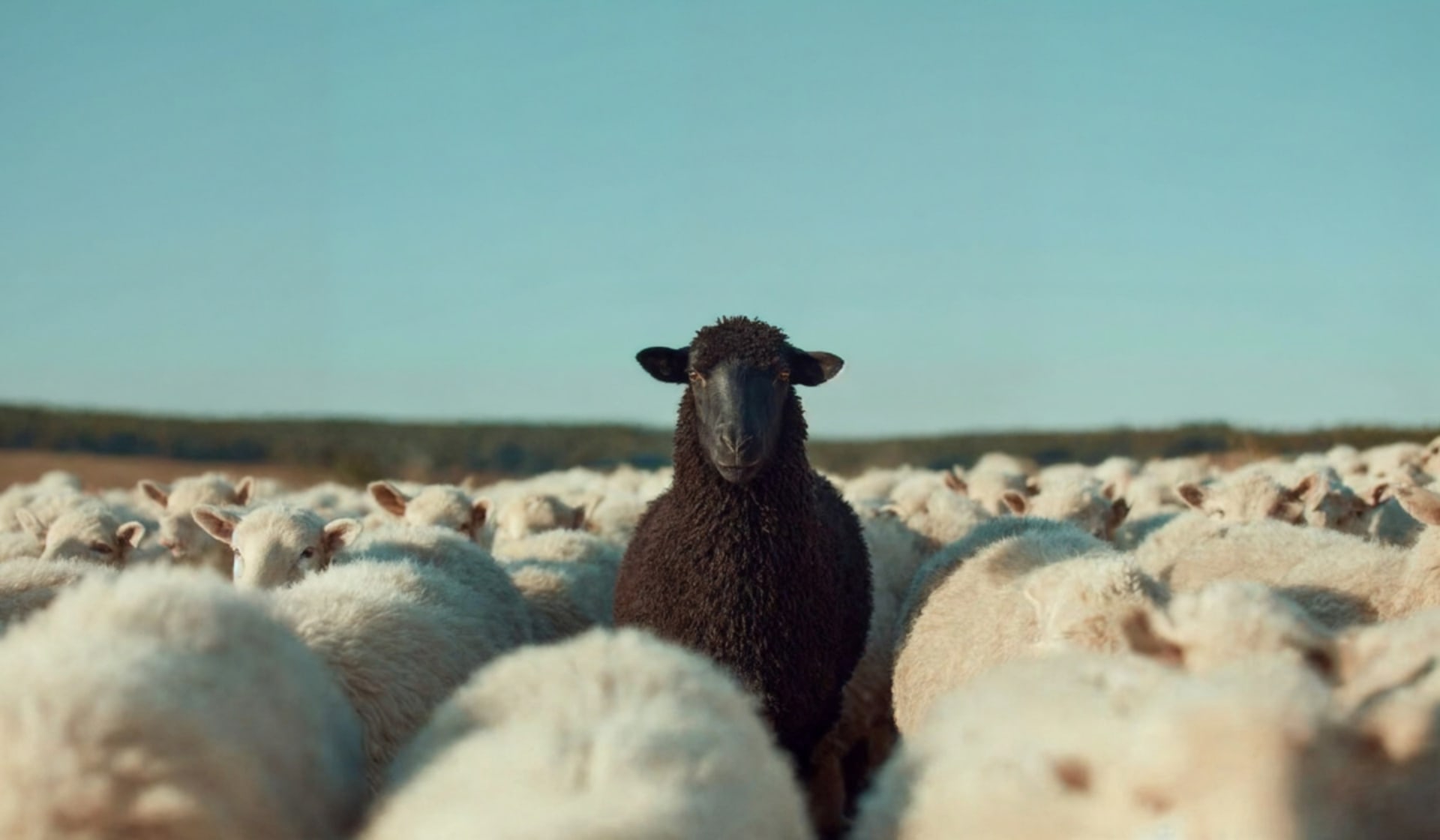 Why I Left Shopify Header Image