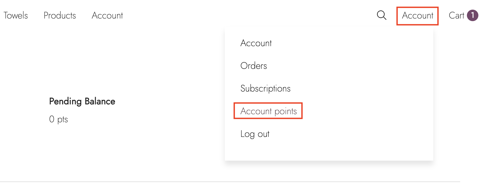 StoreConnect Accounts Points Section