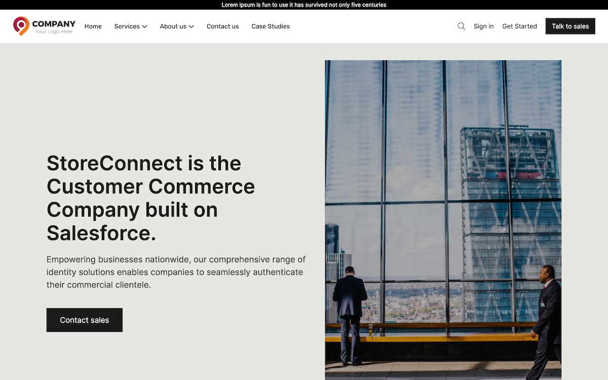 Corporate Theme