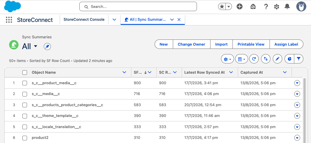 Sync Summaries page showing object sync records