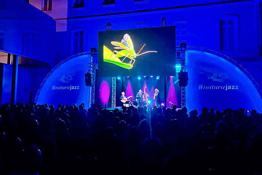 2023 - Èlia Bastida Trio at NaturJazz (Tenerife) - 4