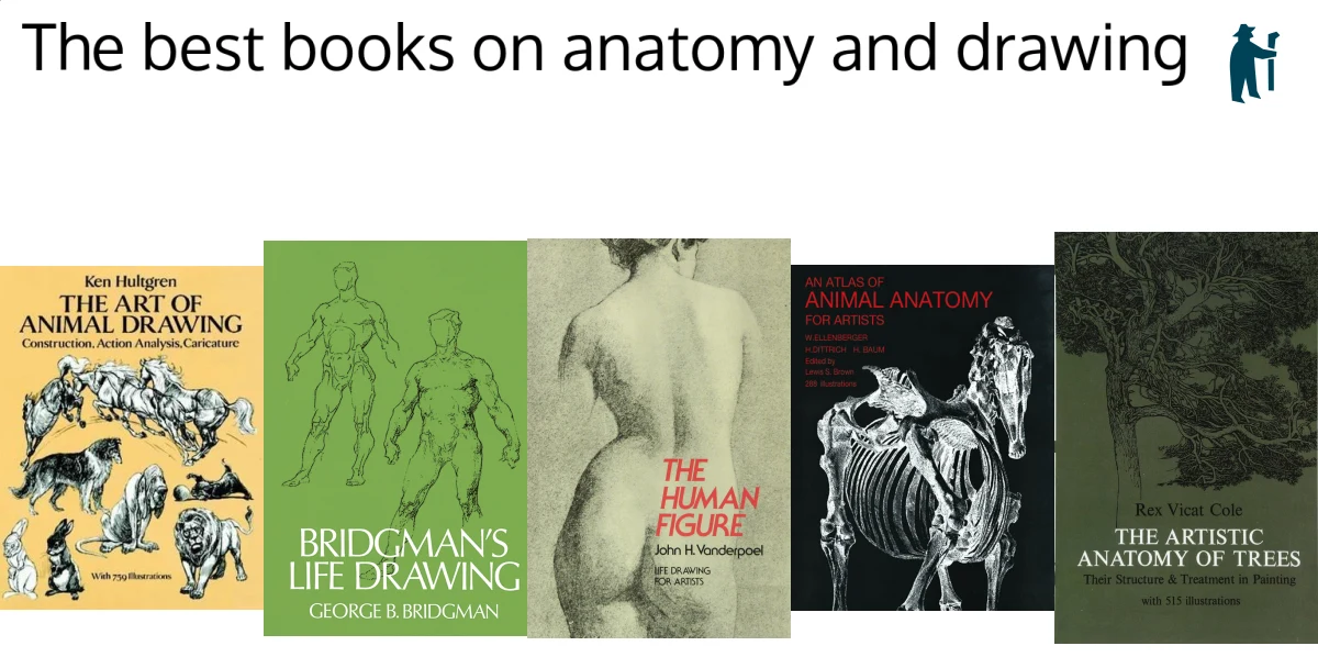 The best books on anatomy and drawing The best books on anatomy and drawing