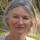 Denise Baden Author Of Visco