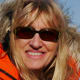 Dyan deNapoli Author Of The Great Penguin Rescue: Saving the African Penguins