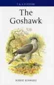 Book cover of The Goshawk