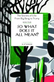 Book cover of So What Does It All Mean?