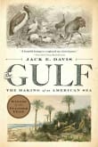 Book cover of The Gulf: The Making of an American Sea