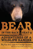 Book cover of Bear in the Back Seat