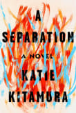 Book cover of A Separation