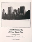 Book cover of Great Blizzards of New York City