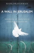 Book cover of A Wall in Jerusalem: Hope, Healing, and the Struggle for Justice in Israel and Palestine