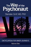 Book cover of The Way of the Psychonaut Vol. 1: Encyclopedia for Inner Journeys