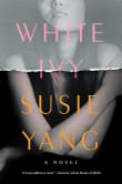 Book cover of White Ivy