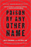 Book cover of Prison by Any Other Name: The Harmful Consequences of Popular Reforms