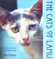 Book cover of The Cats of Lamu