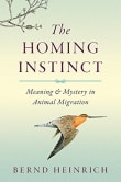 Book cover of The Homing Instinct: Meaning and Mystery in Animal Migration