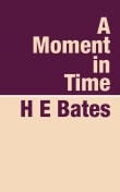 Book cover of A Moment in Time