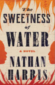 Book cover of The Sweetness of Water