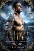 Book cover of Little Fire