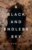 Book cover of A Black and Endless Sky