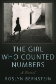 Book cover of The Girl Who Counted Numbers