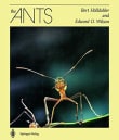 Book cover of The Ants