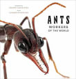 Book cover of Ants: Workers of the World