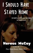 Book cover of I Should Have Stayed Home