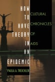 Book cover of How to Have Theory in an Epidemic: Cultural Chronicles of AIDS