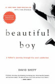 Book cover of Beautiful Boy: A Father's Journey Through His Son's Addiction