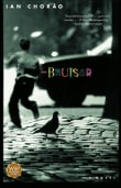 Book cover of Bruiser