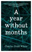 Book cover of A Year Without Months