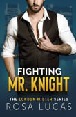 Book cover of Fighting Mr. Knight: A Billionaire Office Romance