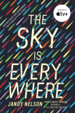 Book cover of The Sky Is Everywhere