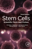 Book cover of Stem Cells: Scientific Facts and Fiction