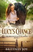 Book cover of Lucy's Chance