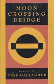 Book cover of Moon Crossing Bridge