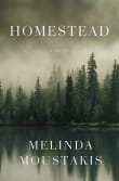 Book cover of Homestead