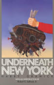 Book cover of Underneath New York
