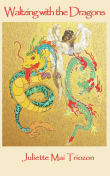 Book cover of Waltzing with the Dragons