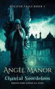 Book cover of Angel Manor