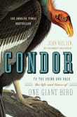 Book cover of Condor: To the Brink and Back--The Life and Times of One Giant Bird