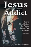 Book cover of Jesus and the Addict: Twelve Bible Studies for People Getting Free from Drugs