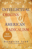 Book cover of Intellectual Origins of American Radicalism
