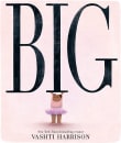 Book cover of Big