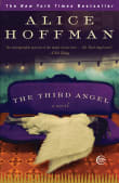 Book cover of The Third Angel